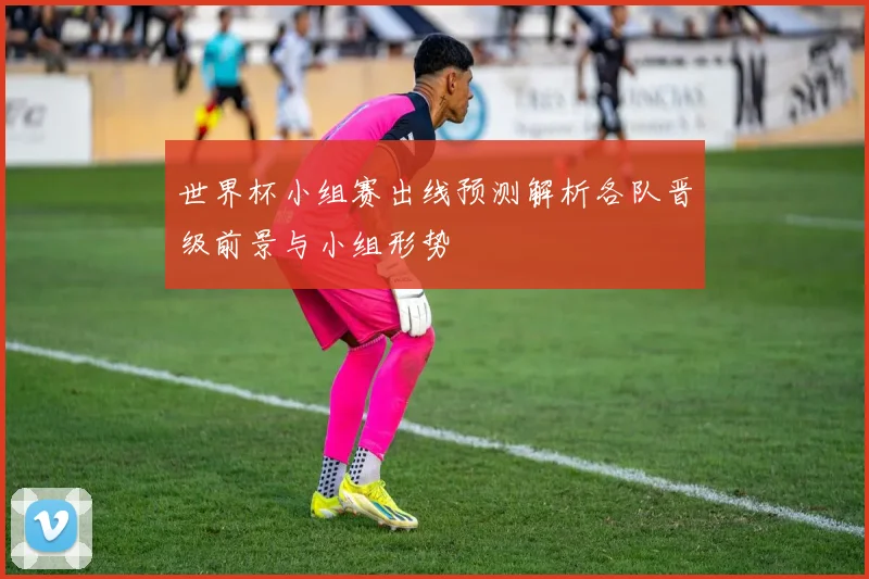 世界杯小组赛出线预测解析各队晋级前景与小组形势
