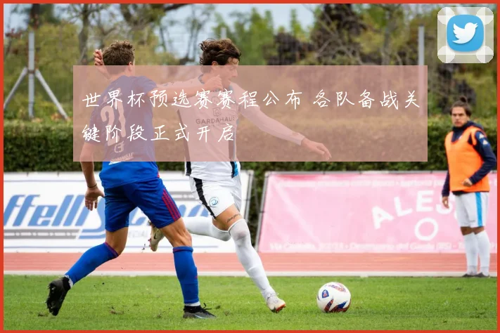世界杯预选赛赛程公布 各队备战关键阶段正式开启