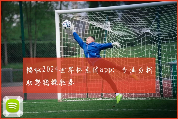 揭秘2024世界杯竞猜app：专业分析助您稳操胜券