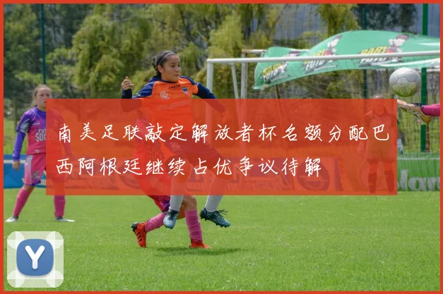南美足联敲定解放者杯名额分配巴西阿根廷继续占优争议待解